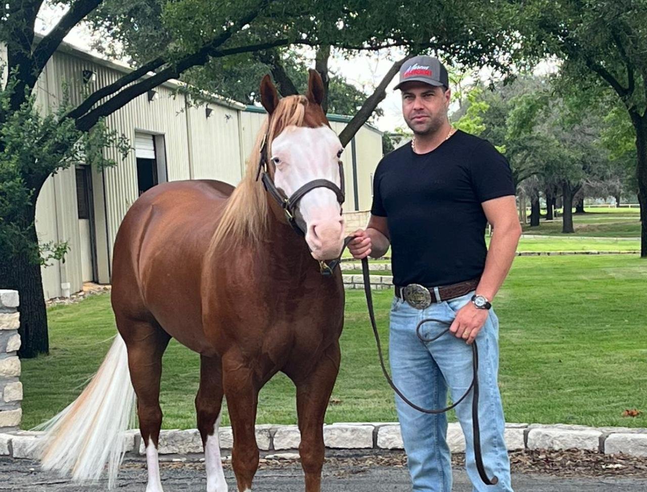 Embriões de genética milionária da Rédeas são ofertados em leilão assinado por Marcus Ferrari