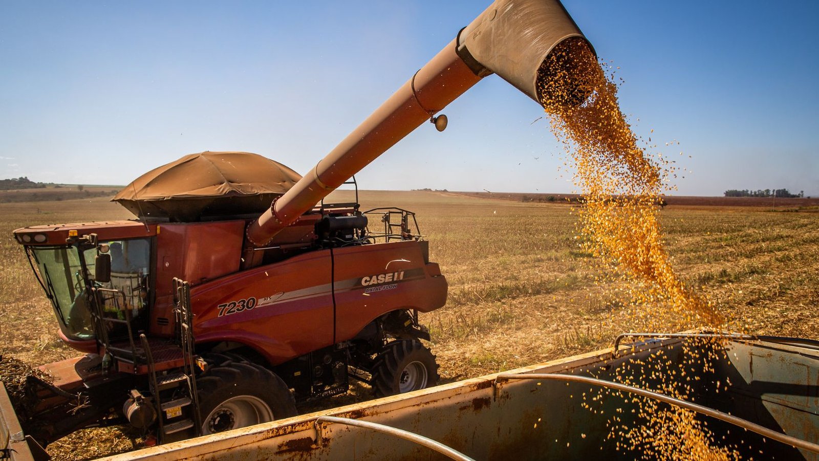 Imea: colheita da soja em MT atinge 78%, plantio do milho vai a 82%