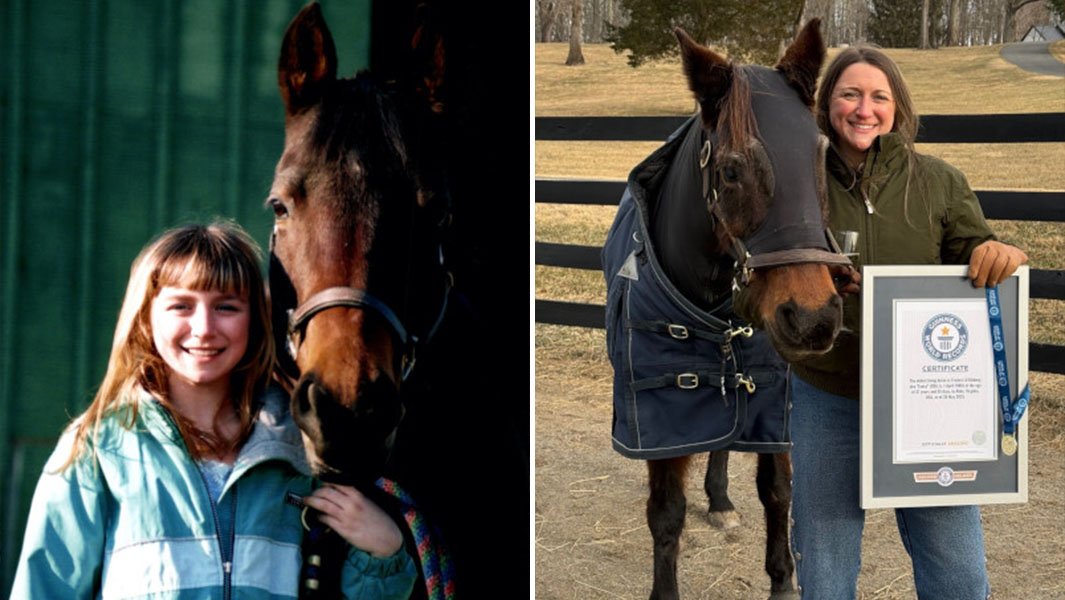 Aos 37 anos, Fancy entra para o Guinness como a égua mais velha do mundo