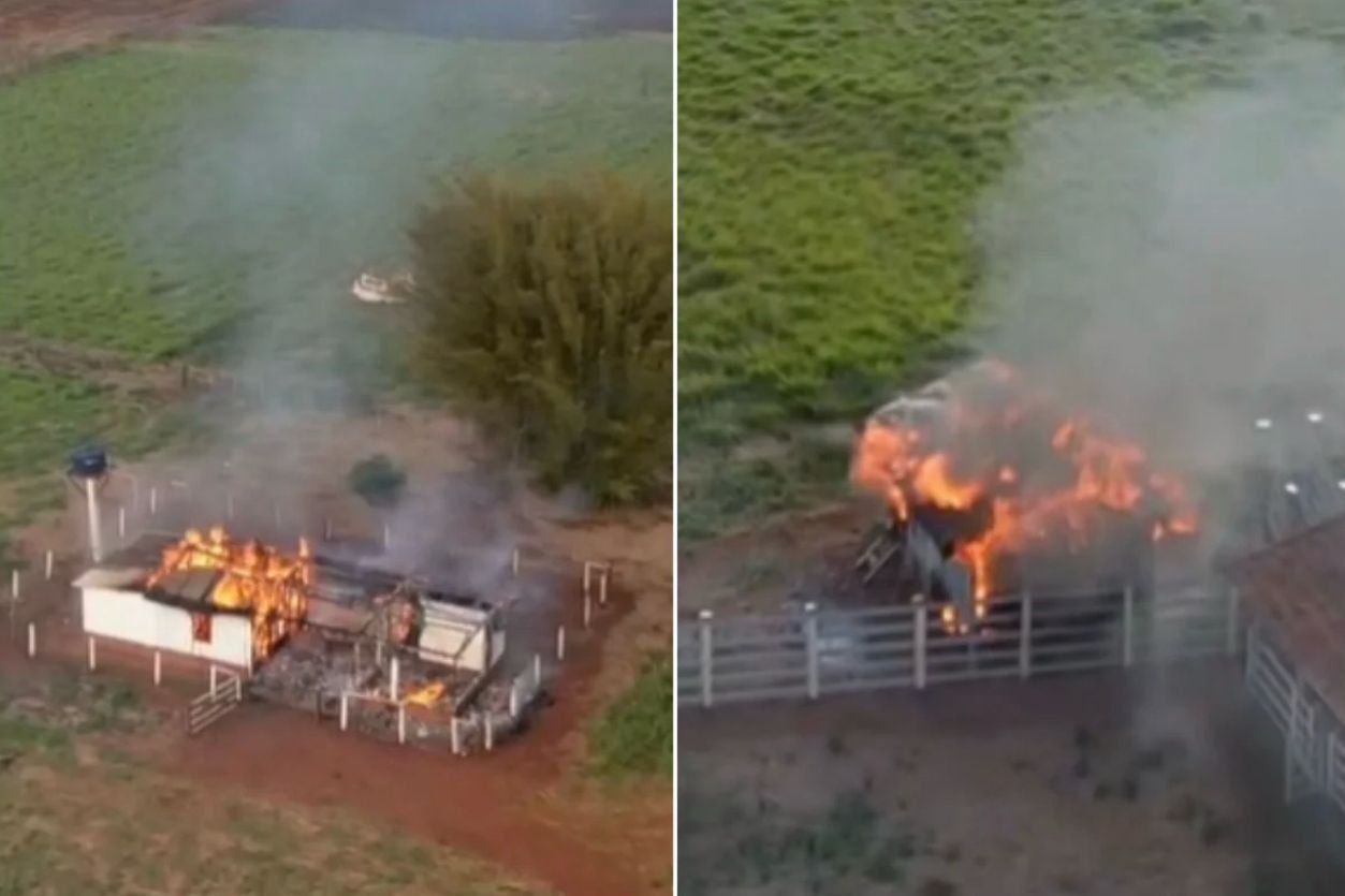 Satélites comprovam desmatamento ilegal e Justiça manda que invasores deixem fazenda de 1,3 mil ha