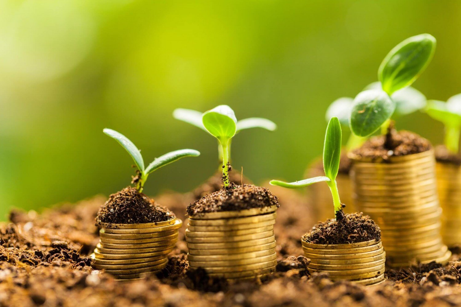 Levantamento confirma LCAs como a maior fonte de recursos para o agronegócio