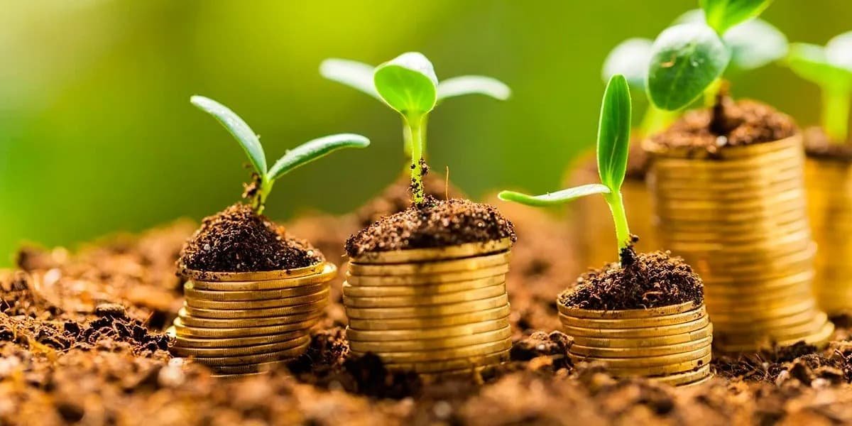 Seguro rural: Câmara aprova urgência para projeto que reforça proteção ao produtor