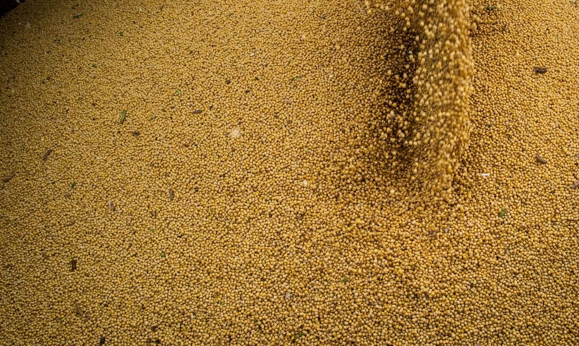 Agro cresce 11,7%, impulsiona PIB e ganha participação na economia