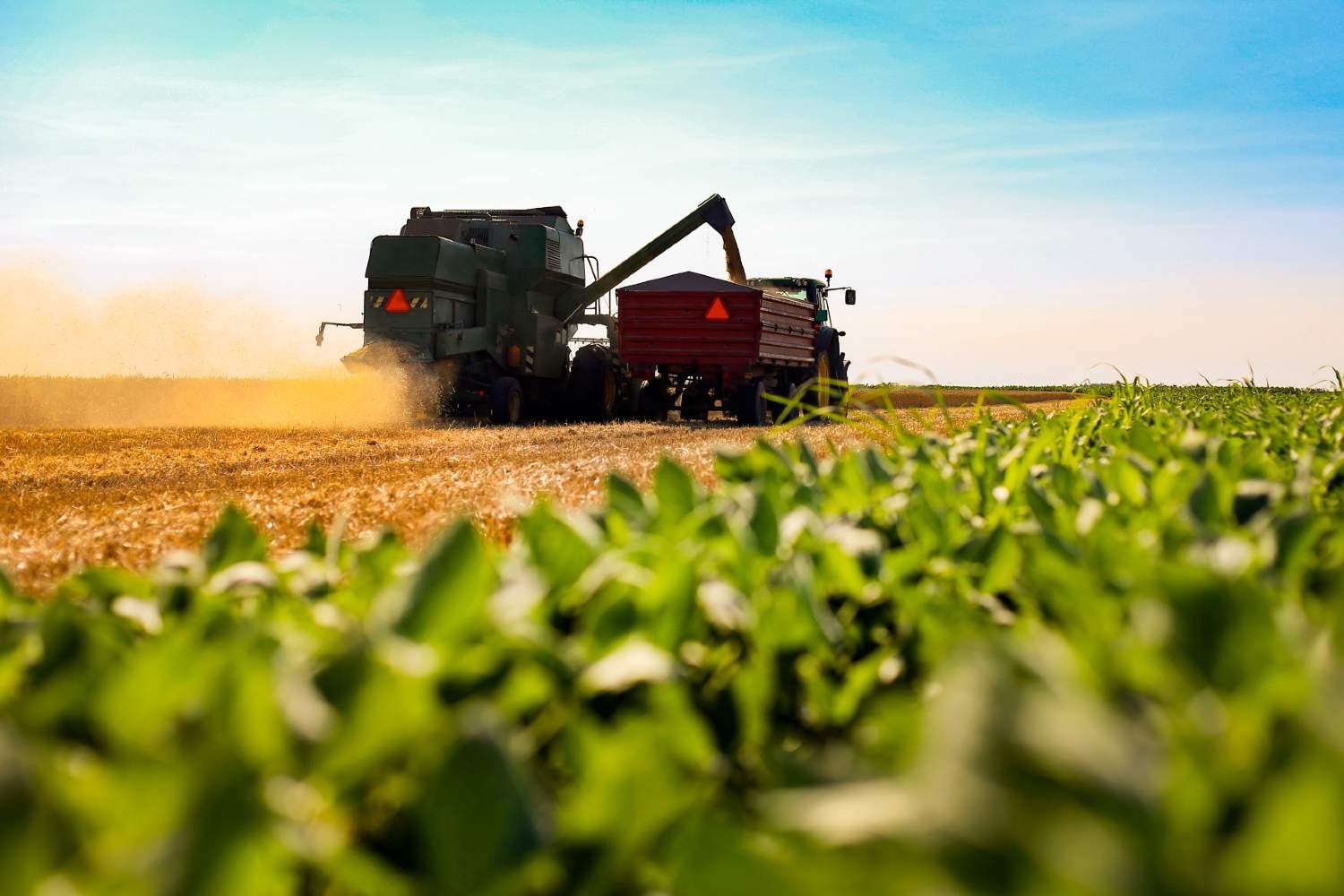 Produtividade aliada à sustentabilidade no Sul do Brasil