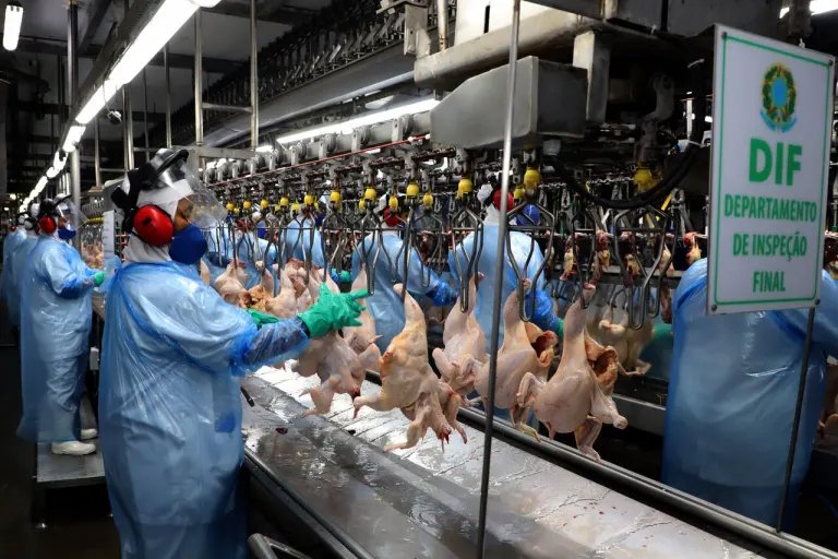 ABPA: armadores suspenderam novas reservas de embarque de frango ao Oriente Médio