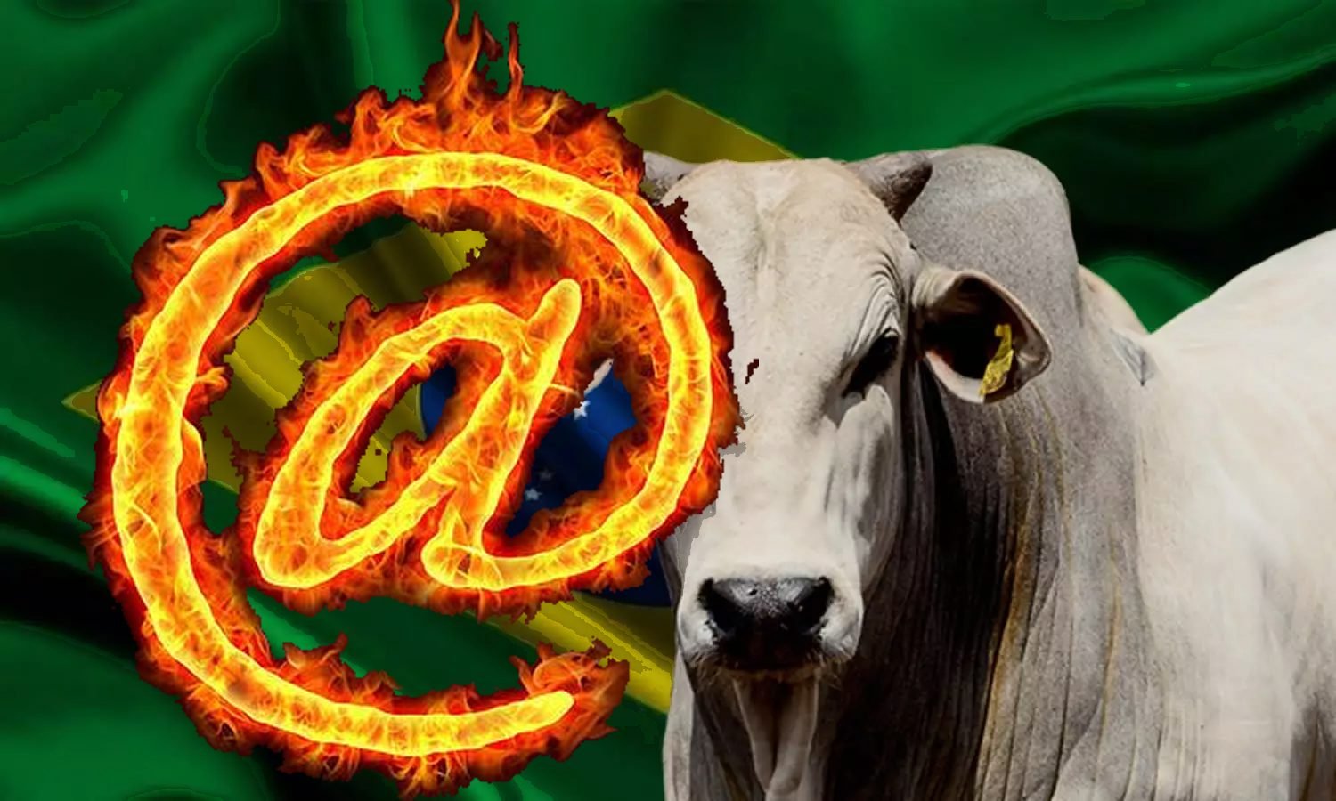 Arroba do boi gordo perde força e pecuaristas seguram vendas em meio à guerra no Oriente Médio