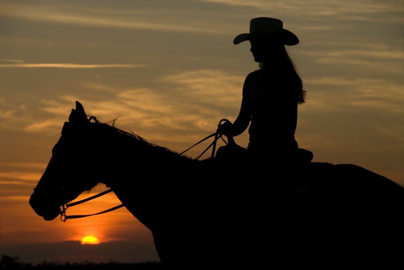 “Não existe desenvolvimento rural sem a sensibilidade feminina”, defende pecuarista de MT