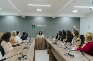 Parlamento cuiabano debate fortalecimento de projetos de apoio a vítimas de violência