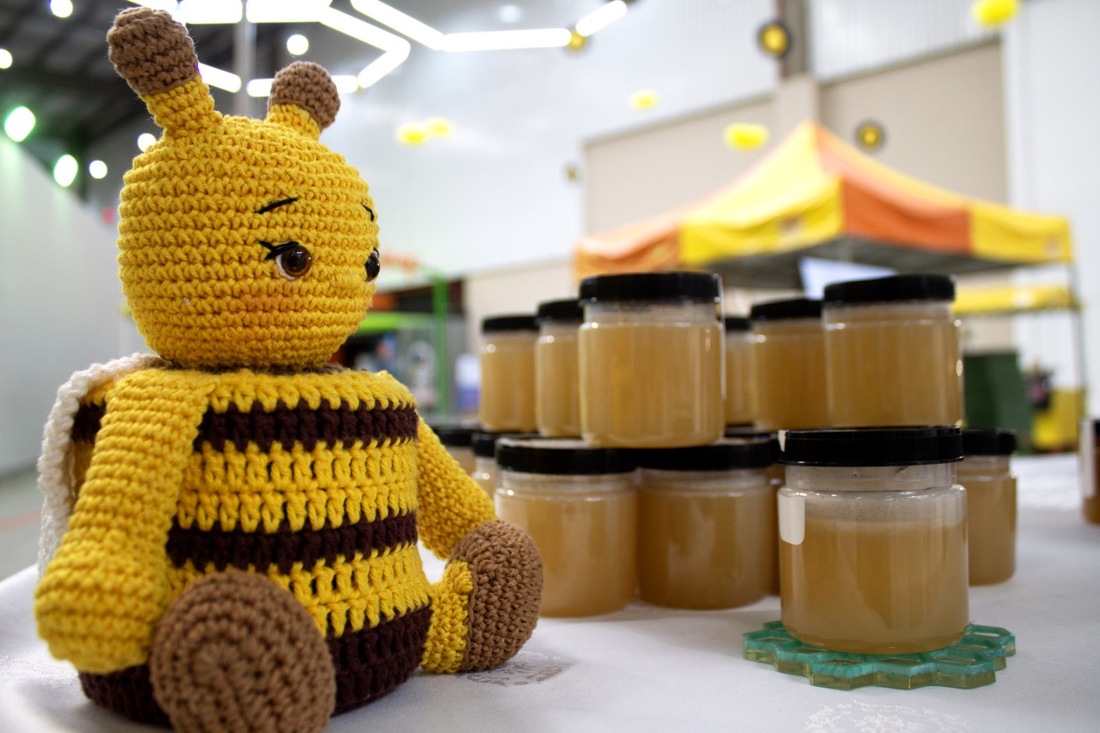 Como identificar mel verdadeiro? Apicultor revela 5 testes simples para não cair em fraude