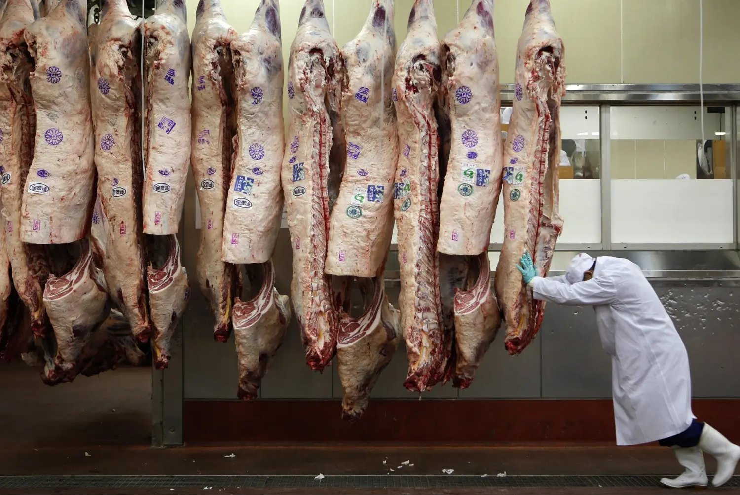 Guerra no Irã pode afetar exportações de carnes e gerar impacto no agronegócio, aponta Governo