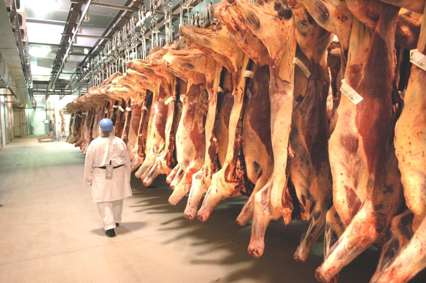 Abiec: exportação de carne bovina cresce 21,6% e é recorde para fevereiro