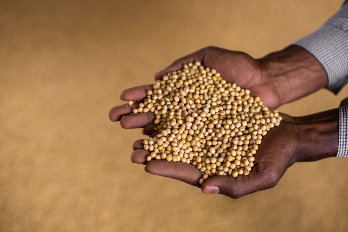 Fundos elevam aposta na alta da soja na CBOT na semana até 3 de março