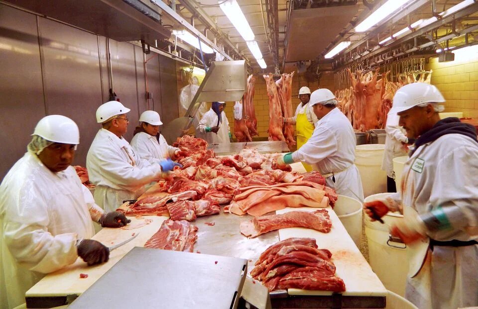 ABPA: exportação de carne suína em fevereiro cresce 6,7% ante fevereiro de 2025