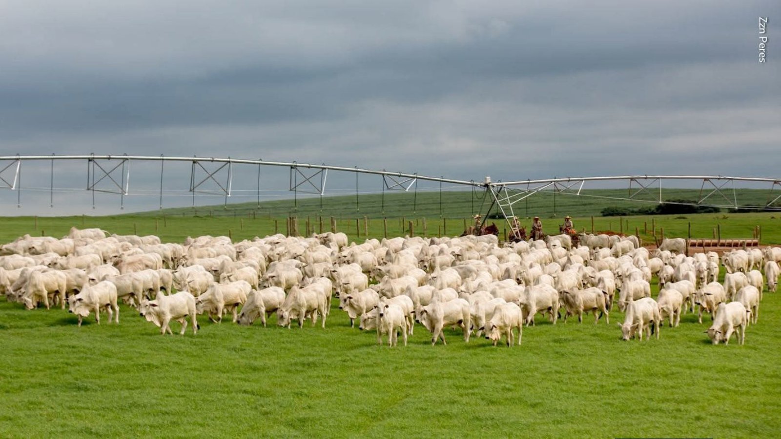 Por que tantas fazendas passam anos à venda no Brasil?