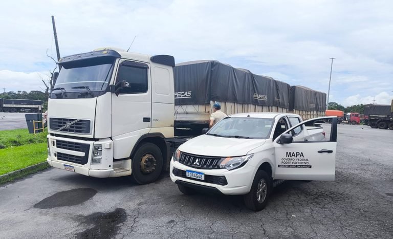 Ministério identifica fraude em carga de soja no Porto de Paranaguá