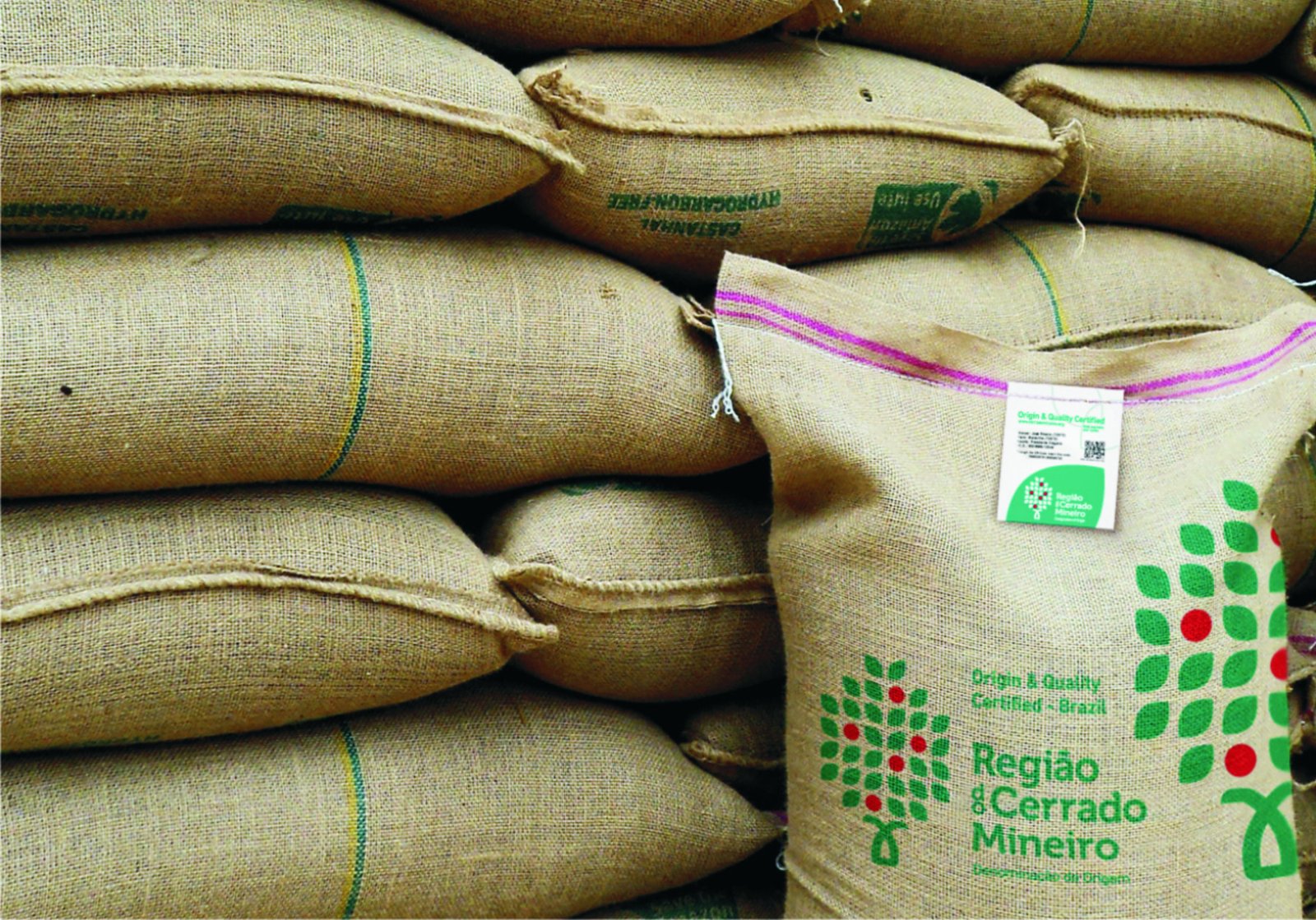 Exportação de café do Brasil soma 2,6 mi de sacas e cai 23,5% em fev/2026