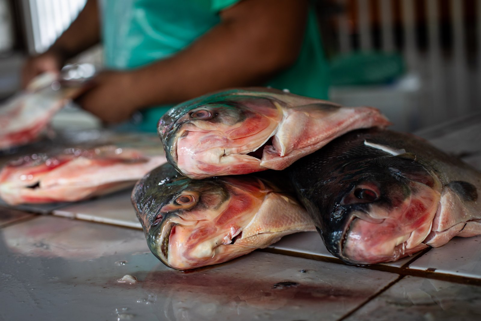 Prefeitura publica portaria da Feira Peixe Santo e abre inscrições para vendedores em Cuiabá