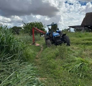 Parque Municipal Lagoa Encantada recebe ação de limpeza e reabre pista de caminhada