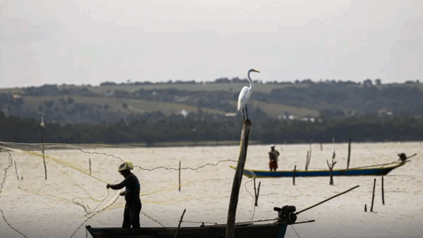 70% dos aquicultores em águas da União operam na informalidade, diz TCU
