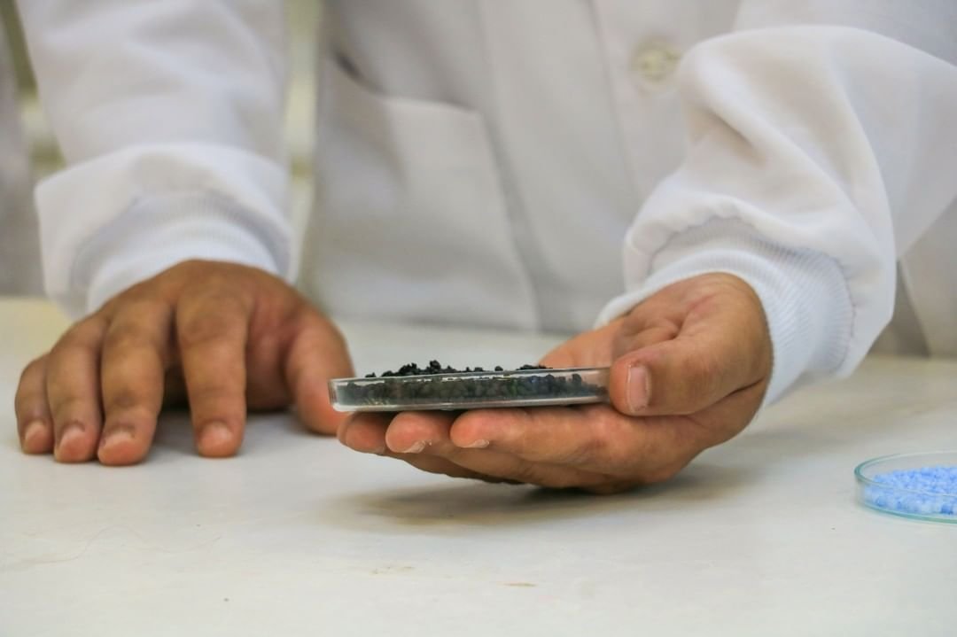 Meio ambiente/APqC: governo de SP anuncia 98 vagas de pesquisador