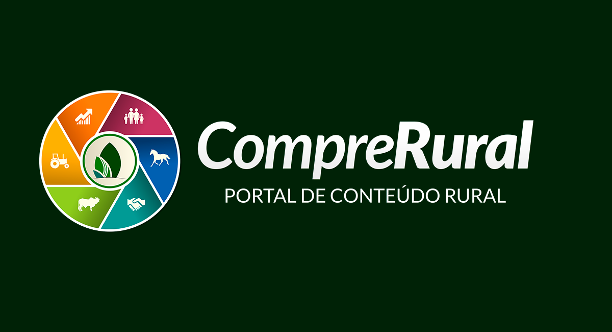 Menor cabra do mundo com 38 cm bate recorde e entra para o Guinness World Records