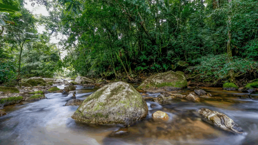 Projeto busca fortalecer gestão ambiental até 2036