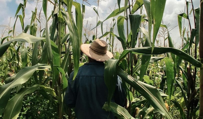 Agro cobra que Congresso “modernize” relações trabalhistas
