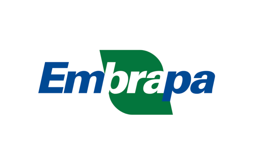 Algas brasileiras podem ajudar grãos na seca