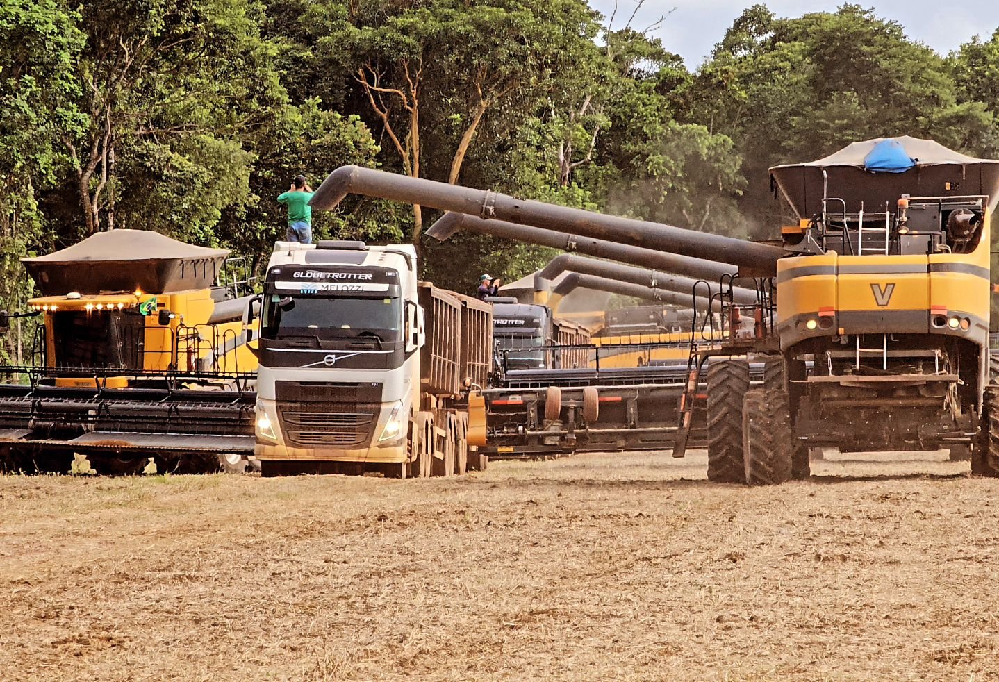Diesel pode faltar no Brasil? Veja quando e por que o agro entrou em alerta em plena safra