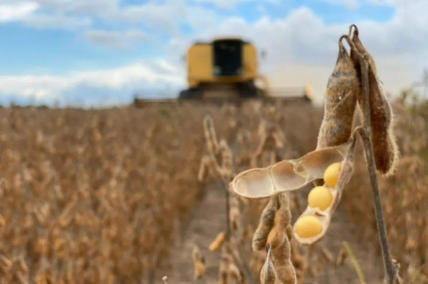Conflito internacional eleva futuros e gera nova alta da soja no BR