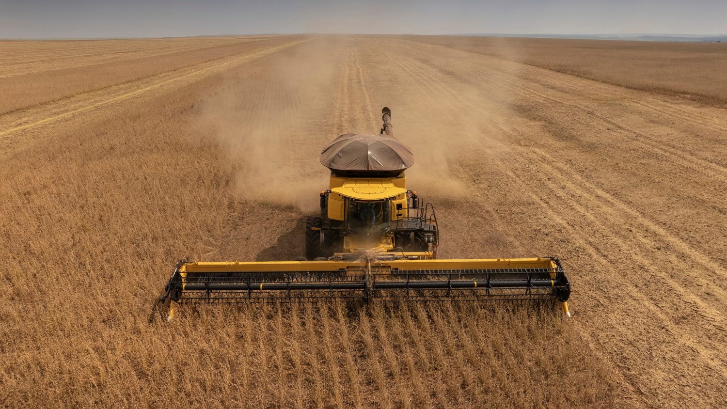 Ranking das cidades onde há mais buscas de terras rurais no Brasil – e o que ele revela sobre o agro