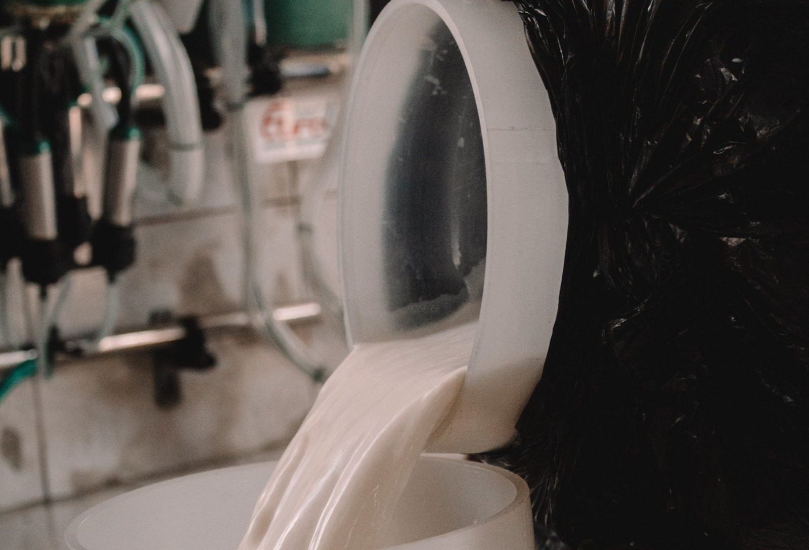 Produtores de leite enfrentam início de ano difícil, mas setor projeta reação nos próximos meses