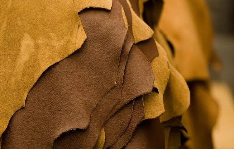 Couro: exportação começa bem o ano