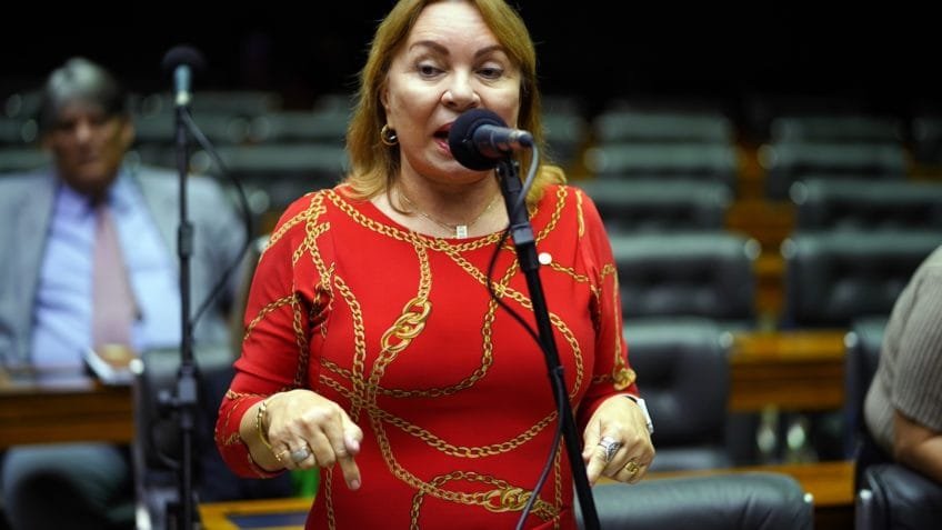 Alvo da PF, deputada tinha contato com ex-presidente do INSS