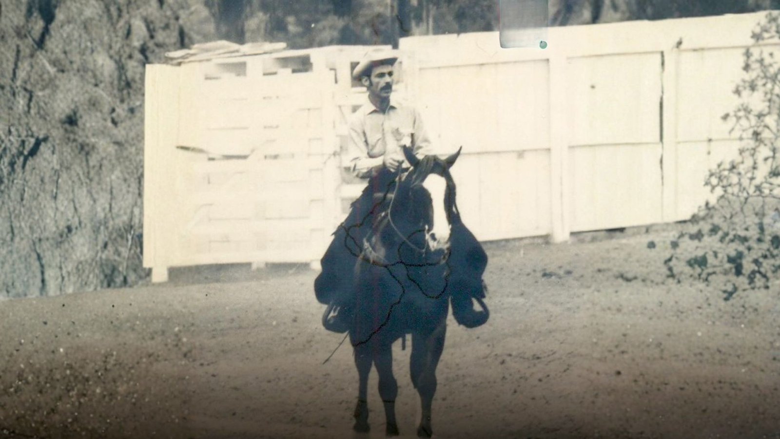 Quarto de Milha perde um de seus fundadores no Brasil: legado e história