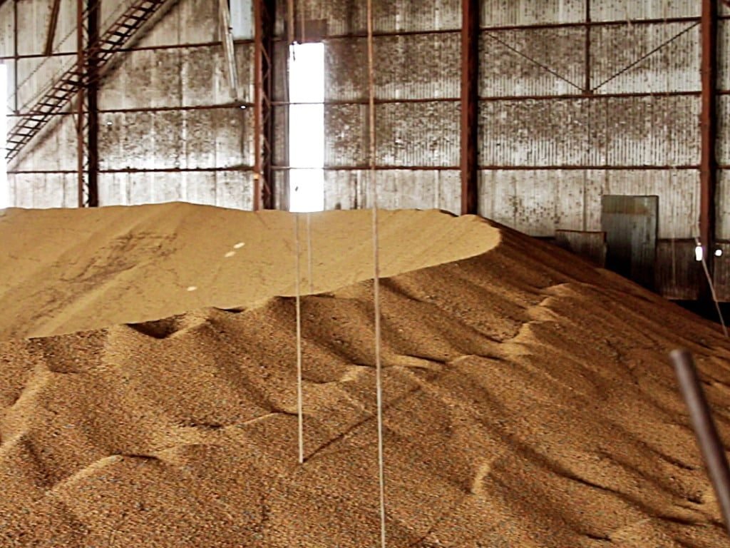 Brasil colhe safra recorde, mas tem déficit de armazenagem de grãos que supera 37%