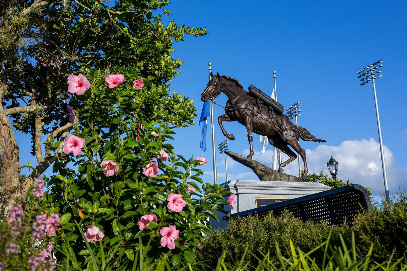 Conheça a cidade que é considerada a “Capital Mundial do Cavalo“