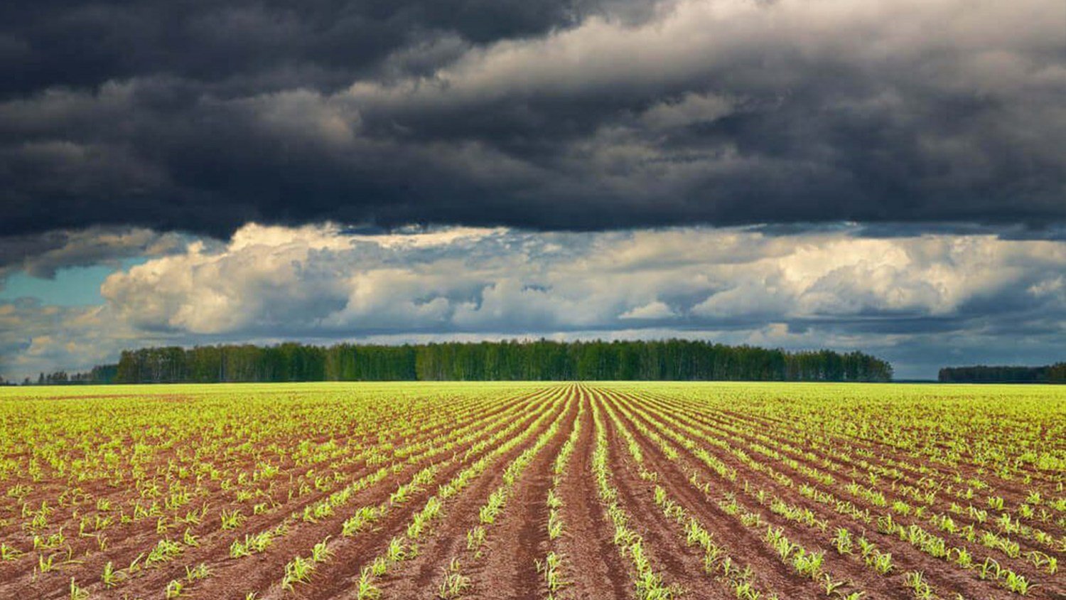 Modelos climáticos indicam 62% de chance de El Niño entre junho e agosto