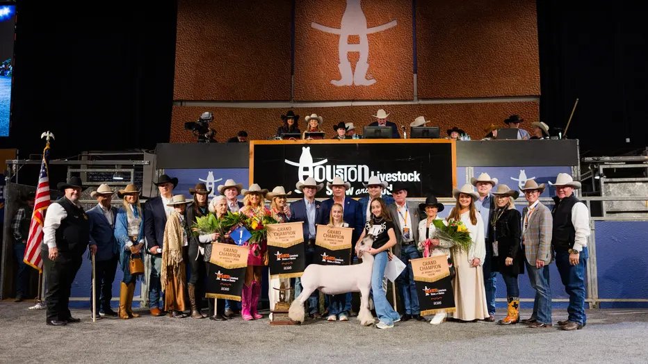 Menina de 13 anos faz história e vende cordeiro por R$ 5 milhões em rodeio nos EUA