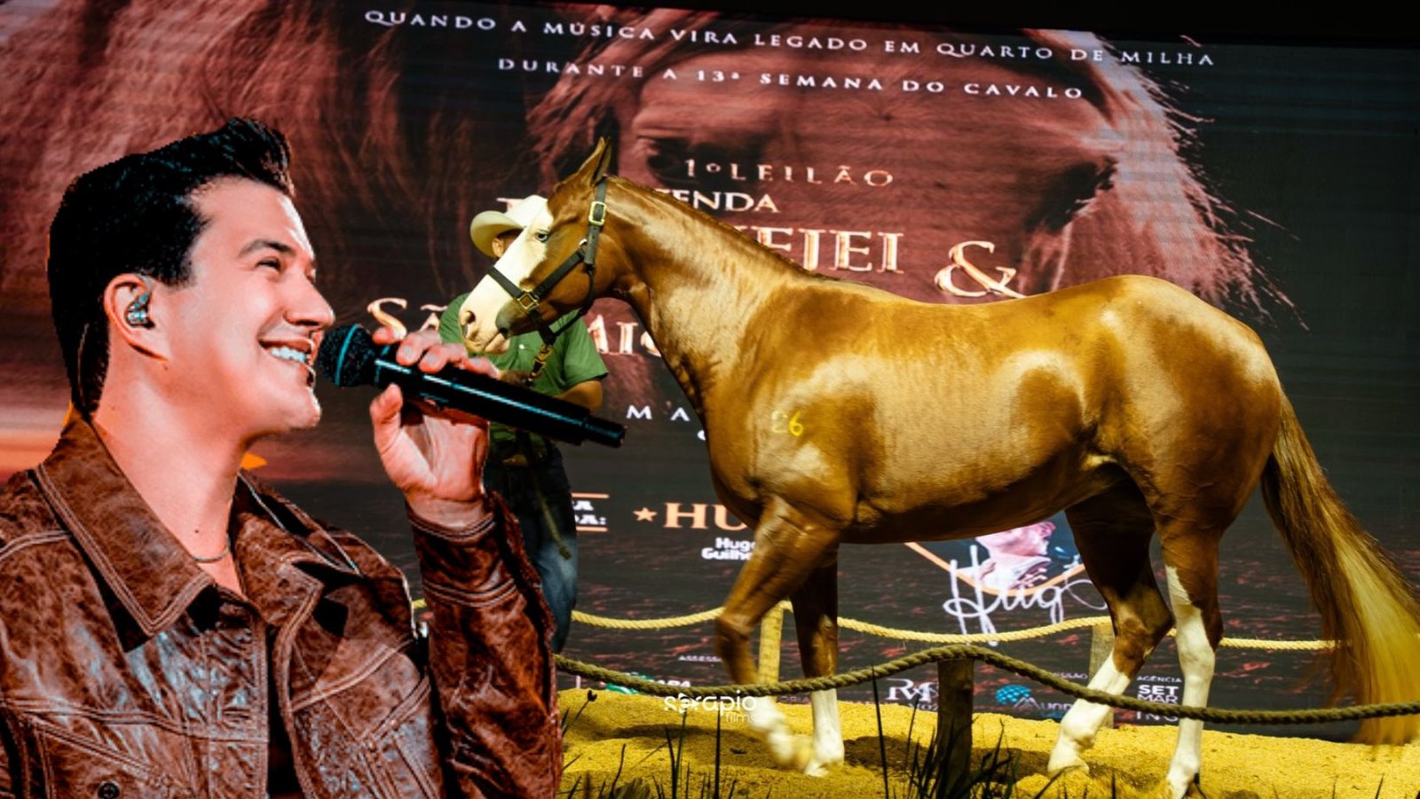 Leilão estreia com quase R$ 10 milhões e reforça força do Quarto de Milha em MT