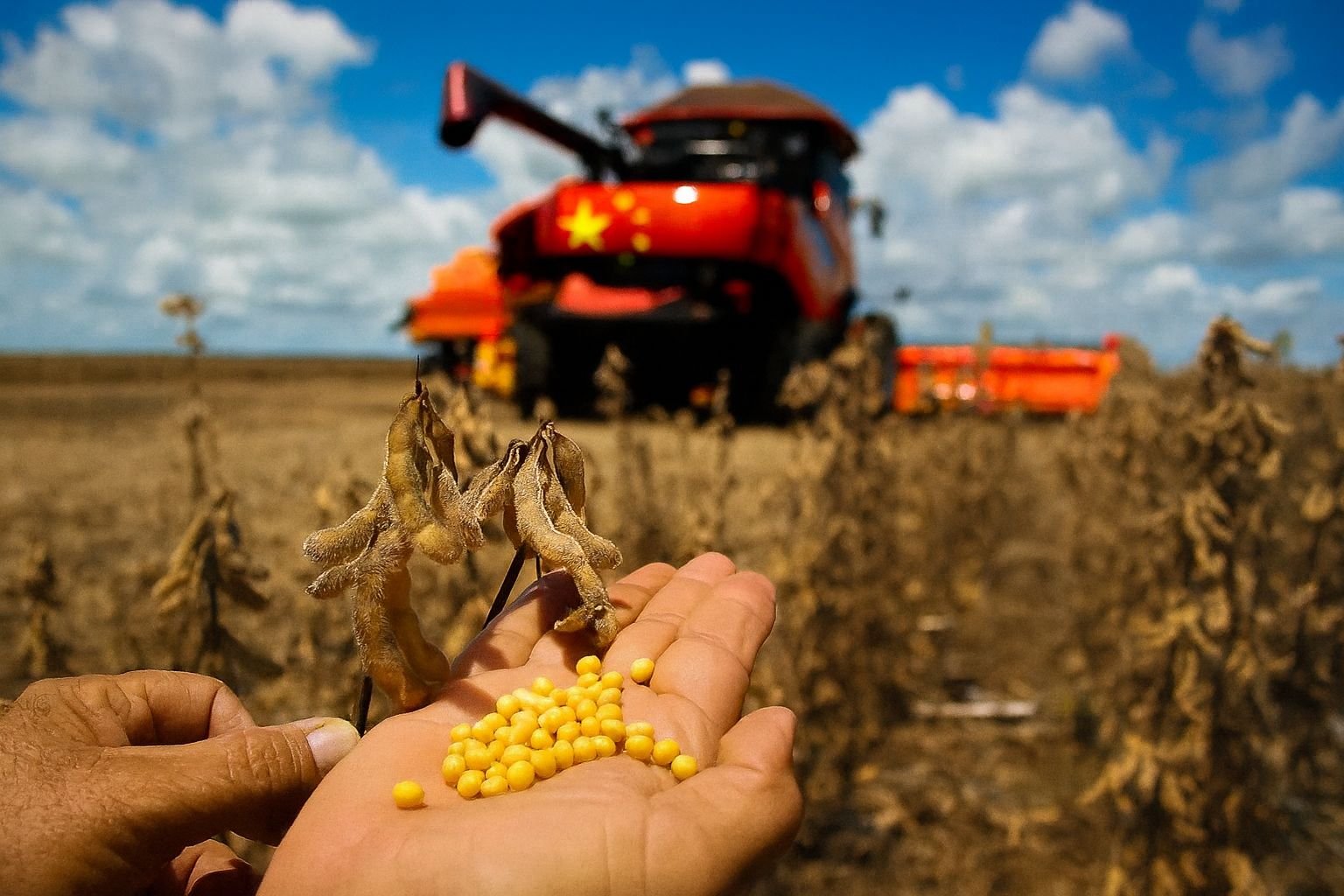 STF deve manter restrições à compra de terras rurais por estrangeiros; entenda