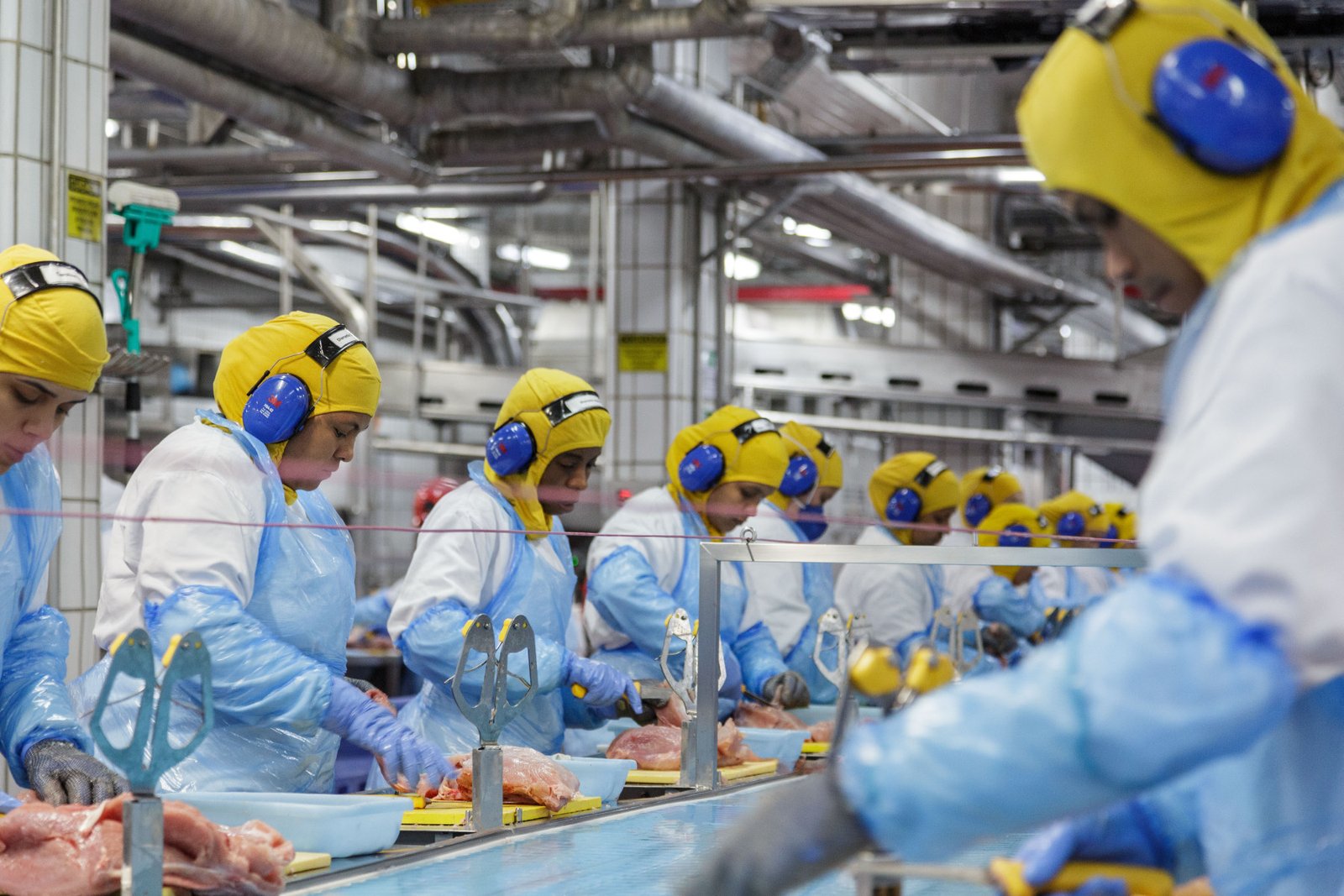 Lucro da MBRF cai 91,9% e atinge R$ 91 milhões no 4º trimestre de 2025