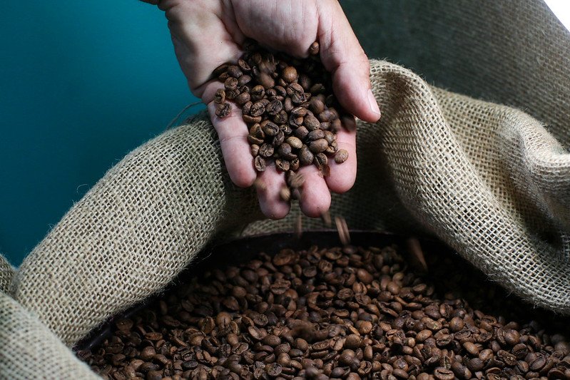Café mais caro: produtor alerta que alta do diesel e fertilizantes será repassada ao consumidor