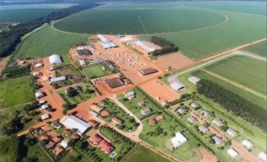 Herdeiro da maior fazenda de criação de bovinos do país, a Roncador, aposta na sua marca de carne