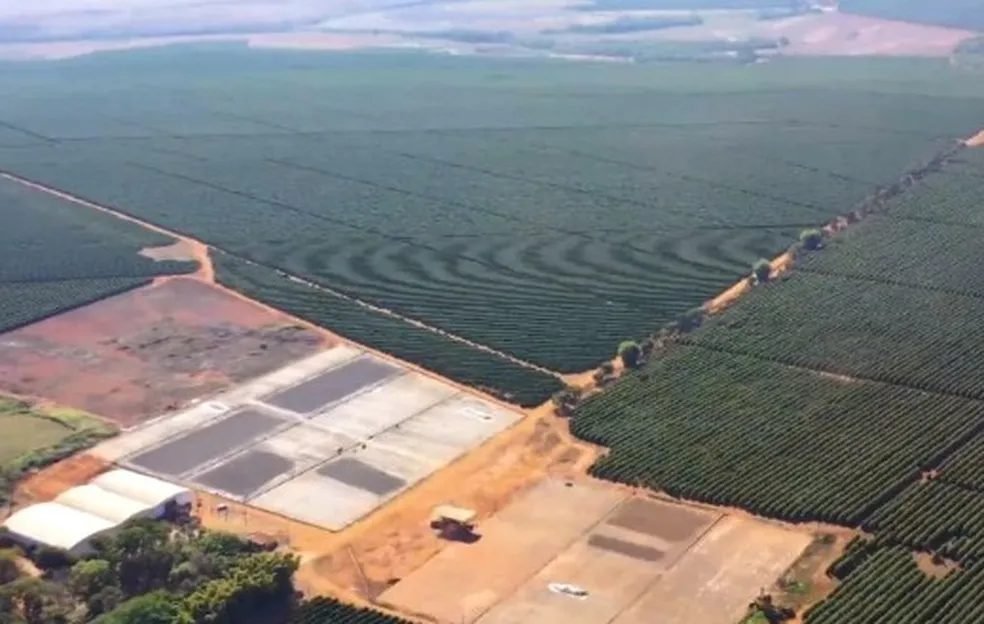 Ouro Negro em Minas: Conheça Patrocínio, a verdadeira Capital Mundial do Café