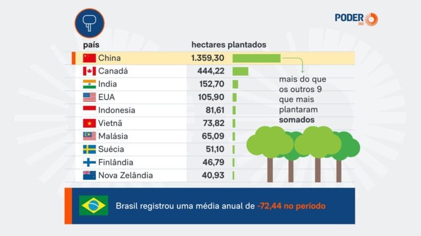 China foi o país que mais plantou florestas na última década