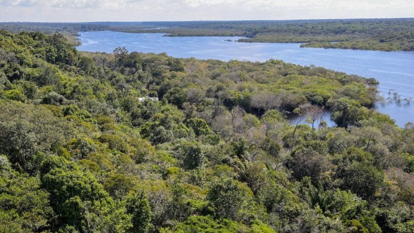 Desmatamento cai 30% em áreas da Amazônia atendidas pelo Bolsa Verde