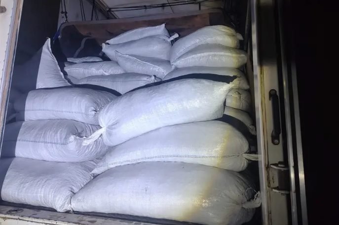 Apreensão de 30 toneladas de amêndoas de cacau é avaliada em R$ 744 mil