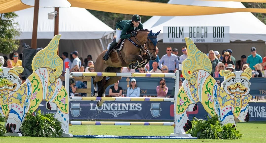 Haras do Brasil exporta éguas de elite aos EUA e mostra força da genética nacional no hipismo