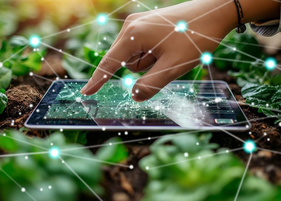 Raio X mostra que startups agropecuárias estão mais espalhadas pelo País